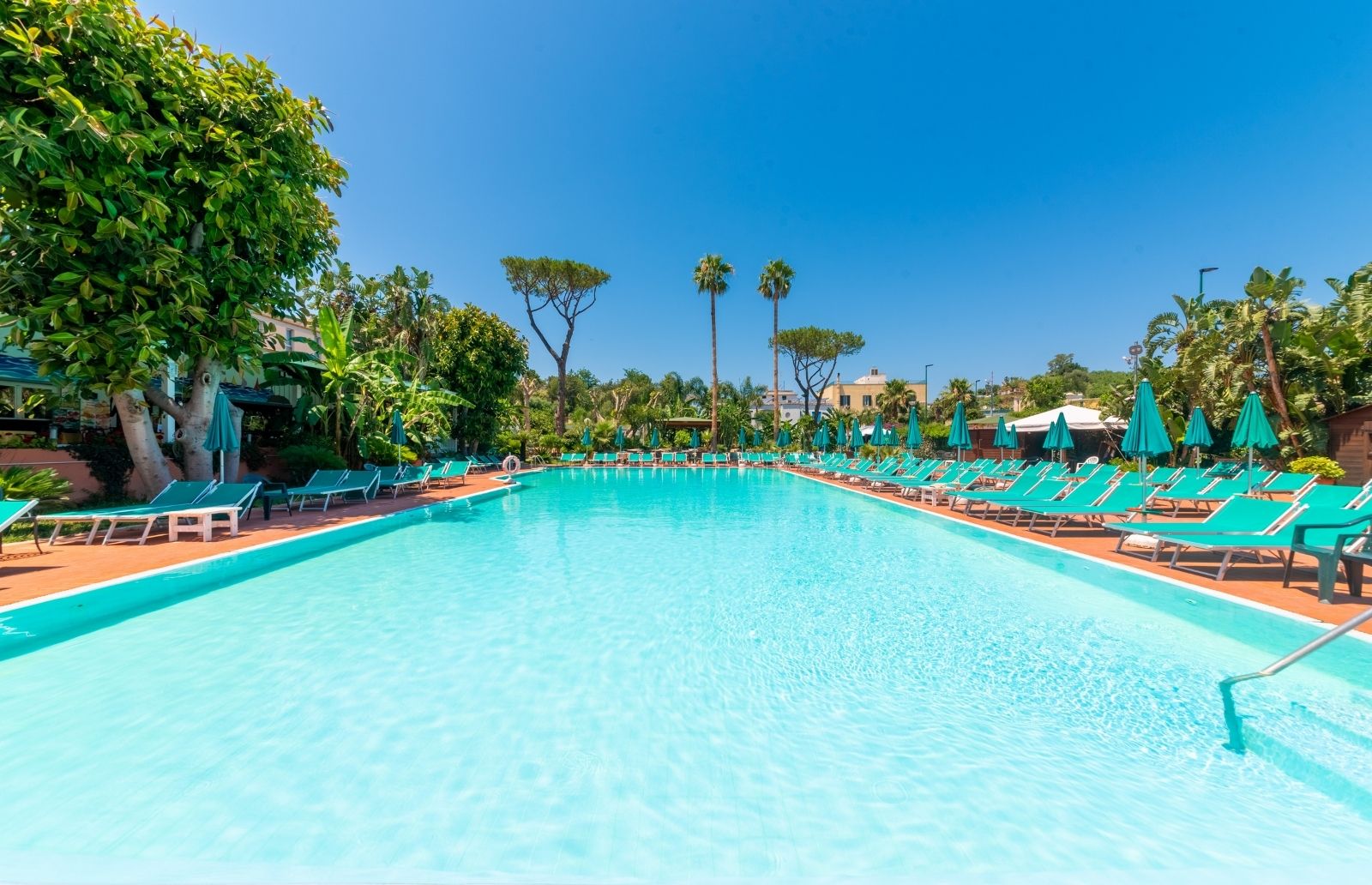 Prima di Ferragosto Ischia Porto in Centro